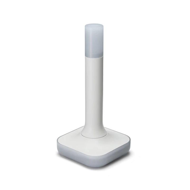 Smart Home Hub 2 - Ev Asistanı Connect ZBT-2, Akıllı Ev