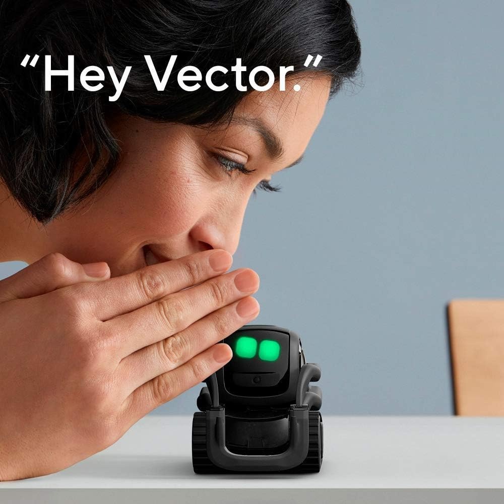 Yapay Zeka ChatGPT 2.0 Bağlant - Smart Home Robot incelemesi ve fiyatı