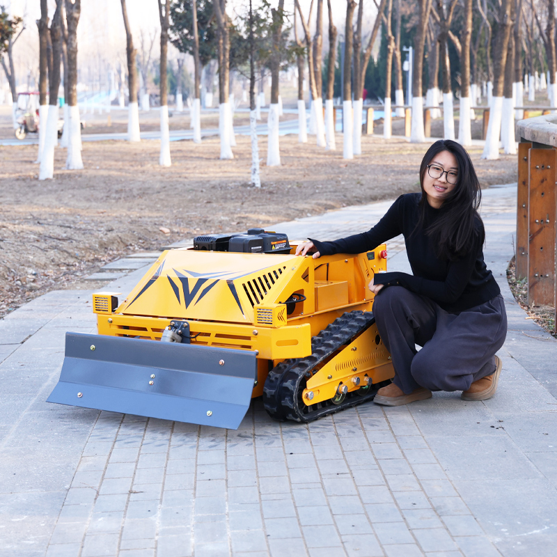 Özelleştirilmiş Akıllı Dayanık - Smart Home Robot incelemesi ve fiyatı
